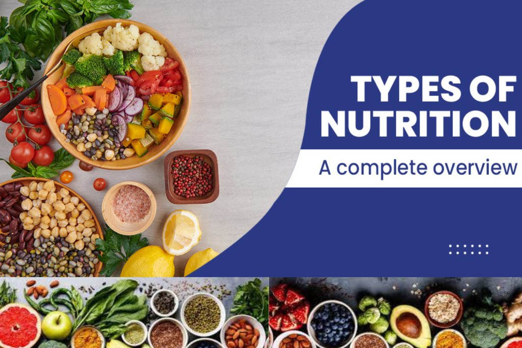 types of nutrition