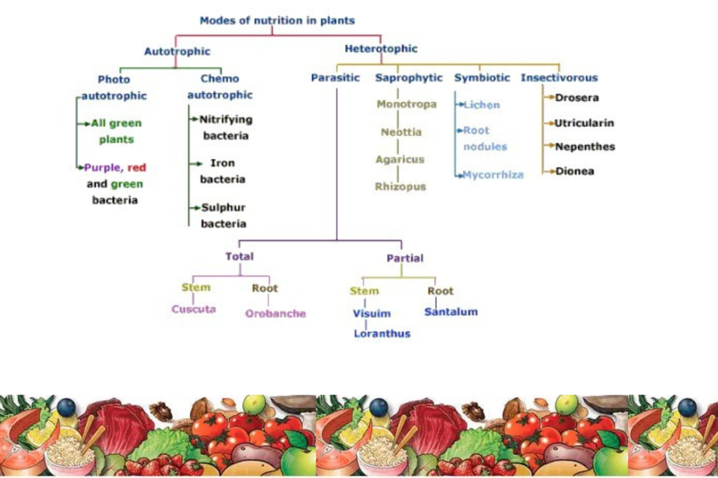 types of nutrition