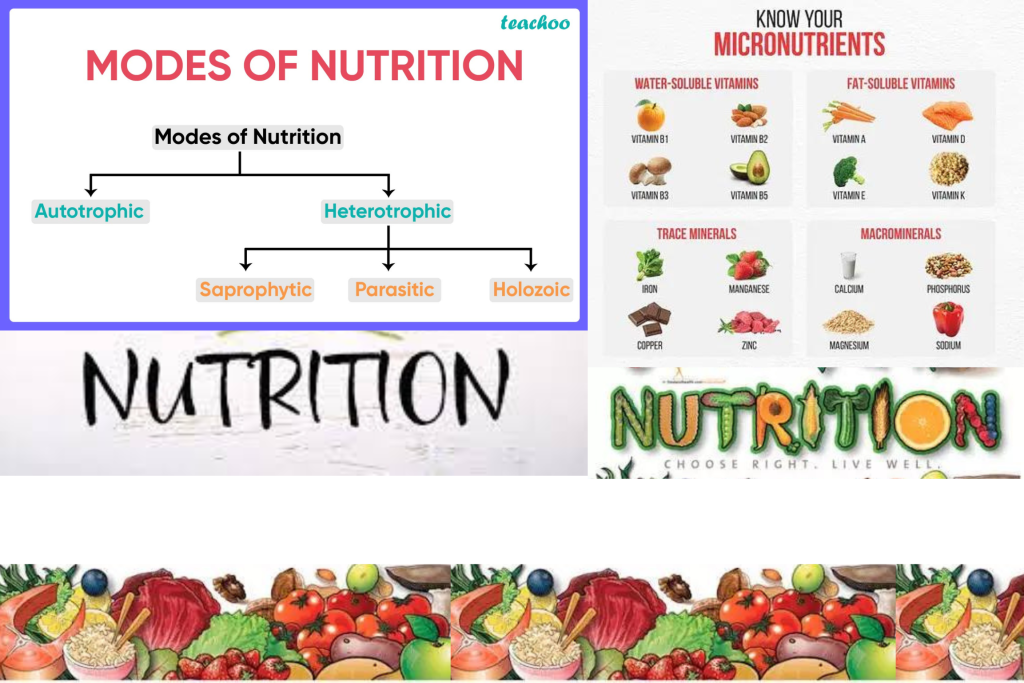 types of nutrition