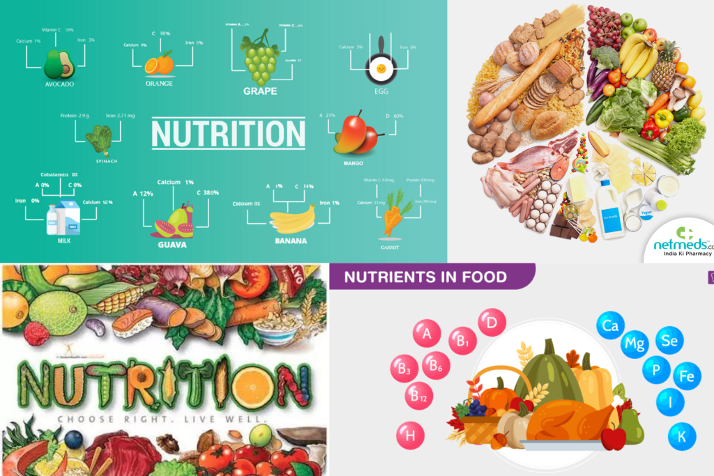 types of nutrition